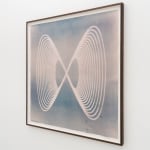 Louise Foo, Botanical Attunement, 2025