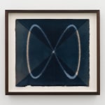 Louise Foo, Botanical Attunement, 2025
