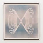 Louise Foo, Botanical Attunement, 2025