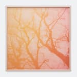 Signe Høi, Here Comes The Goodbye, 2023