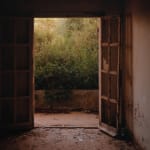 Søren Arildsen, Spring Cleaning, 2025