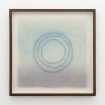 Louise Foo, Botanical Attunement, 2025