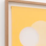 Søren Arildsen, Spring Cleaning, 2025