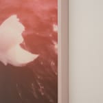 Signe Høi, Here Comes The Goodbye, 2023