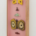 Sune Christiansen, Eksemplarer (dag)/Specimens (day), 2025