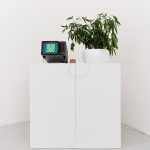Louise Foo, Botanical Attunement, 2025