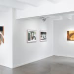 Alejandro González, Any day of 1965-2012, 20212-2013, Shown by Brigade Gallery.