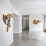Ernesto Garcia Sánchez, Polymorphous 8, 2022, Shown at Brigade Gallery in Copenhagen, Denmark.