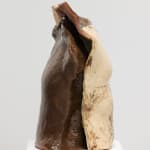 Davide Hjort Di Fabio, Carrier, 2025