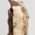 Davide Hjort Di Fabio, Carrier, 2025