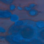 Birk Bjørlo, Waste Land II, Brigade Gallery