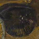 Igor Moritz Słonecznik, 2025, Brigade Gallery