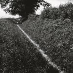 Bill Brandt, The Pilgrims Way, Kent, 1950