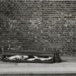 Stuart Brisley, Goeorgiana Collection No. 41, 1979-86