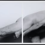 John Coplans, Self Portrait, Sideways, No. 6 (diptych), 2001