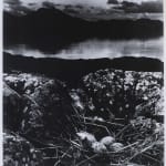 Bill Brandt, Gull's Nest on Mid-Summer Night, Isle of Skye, 1947, 1947