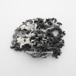 Andrew Sabin, Evolution, 2024