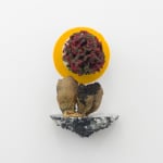 Andrew Sabin, Evolution, 2024