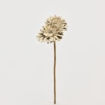Nona Inescu, Common Daisy (Bellis perennis) IV, 2024