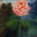 Maria Szakats, Snap Dragon V, 2023