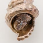 Victor Lim Seaward, Thorned Nest, 2020