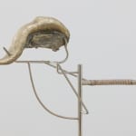 Yeni Mao, fig 38.4 spur, 2023