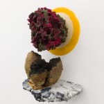 Andrew Sabin, Evolution, 2024
