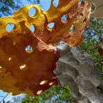 Andrew Sabin, The Puff of the Pastry, 2022