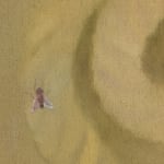 Anna Ruth, Threshold Touch, 2025