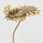 Nona Inescu, Common Daisy (Bellis perennis) IV, 2024