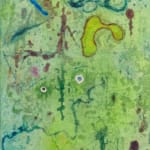 Ross Taylor, TM - Magic door Praha stare, 2015-2021