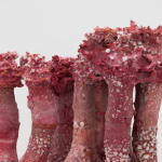 Detail of red, pink and brown with white speckles sculpture by Andrew Sabin