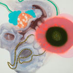 Gemma Petrie, Homing