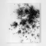 Lucy Woodley, Ultima Thule
