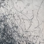 Julie Leach, Wind Drawing 23.05.2020 - wind through the Plum Tree, 18 mph west south westerly, 230 minutes, 2020