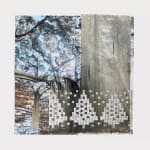Sarah Sense, Worcester Bowtie Study, 2024