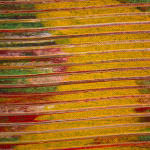 Adger Cowans, Untitled, c. 1970s
