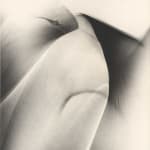Lotte Jacobi, Photogenic Drawing, 1950s