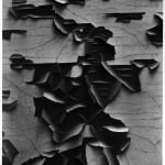 Aaron Siskind, New York, 1951