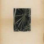 Consuelo Kanaga, Untitled (Wagon Wheel), 1930