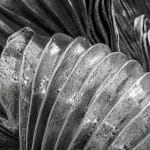 Lynda Benglis, UNTITLED, 1969