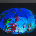 Pipilotti Rist, Sole, 2016