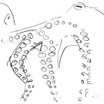 Fabian Marti, Tentacular One (RĒĒĒĒĒĒĒĒĒĒĒĒ), 2022