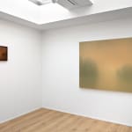 Tom Van Puyvelde, Evanescence IX, 2024, Signed & dated, oil on canvas, 120 x 144.1 cm. © Buysse Gallery. All rights reserved.