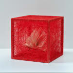 Chiharu Shiota, State of Being (Book II), 2016. Courtesy of the artist. © Buysse Gallery. All rights reserved.