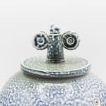 Peter Meanley, Sprouted Pouring Vessel, 2018