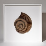 Hannah White, Ammonite Shadow: Pleuroceras Spinatum Swirl, 2023