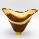 Bert Marsh, Cocobolo Box, 2010