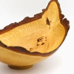 Bert Marsh, Sycamore Bowl, 1985