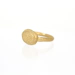 Sian Evans, Tudor Ring, 2022